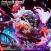 King Cobra Base Accessories For POPMAX Luffy SnakeMan By JacksDo Studio 